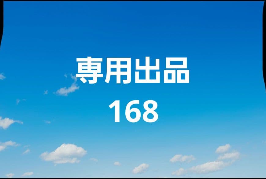 専用出品168
