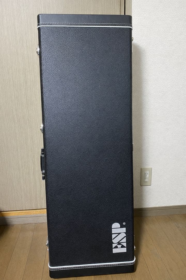 【値下げ中】E-II SN-2 Blue Natural Fade ハードケース