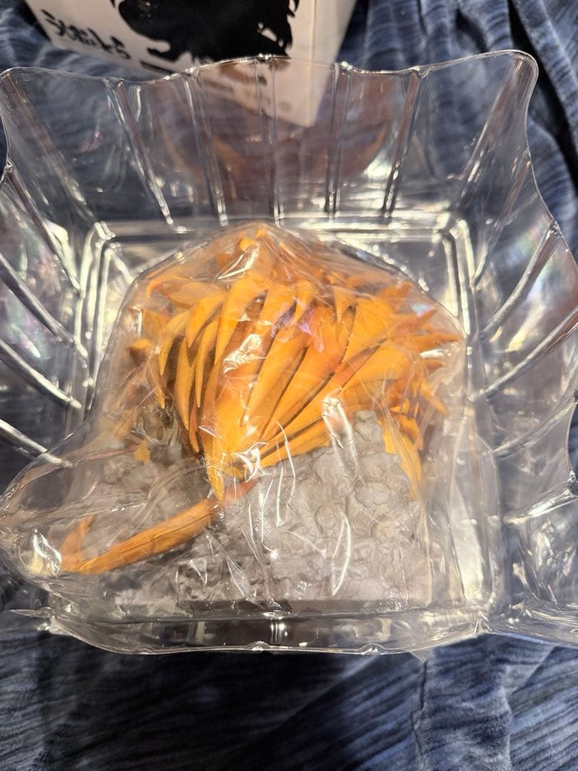 中身未開封　うしおととら　とらフィギュア