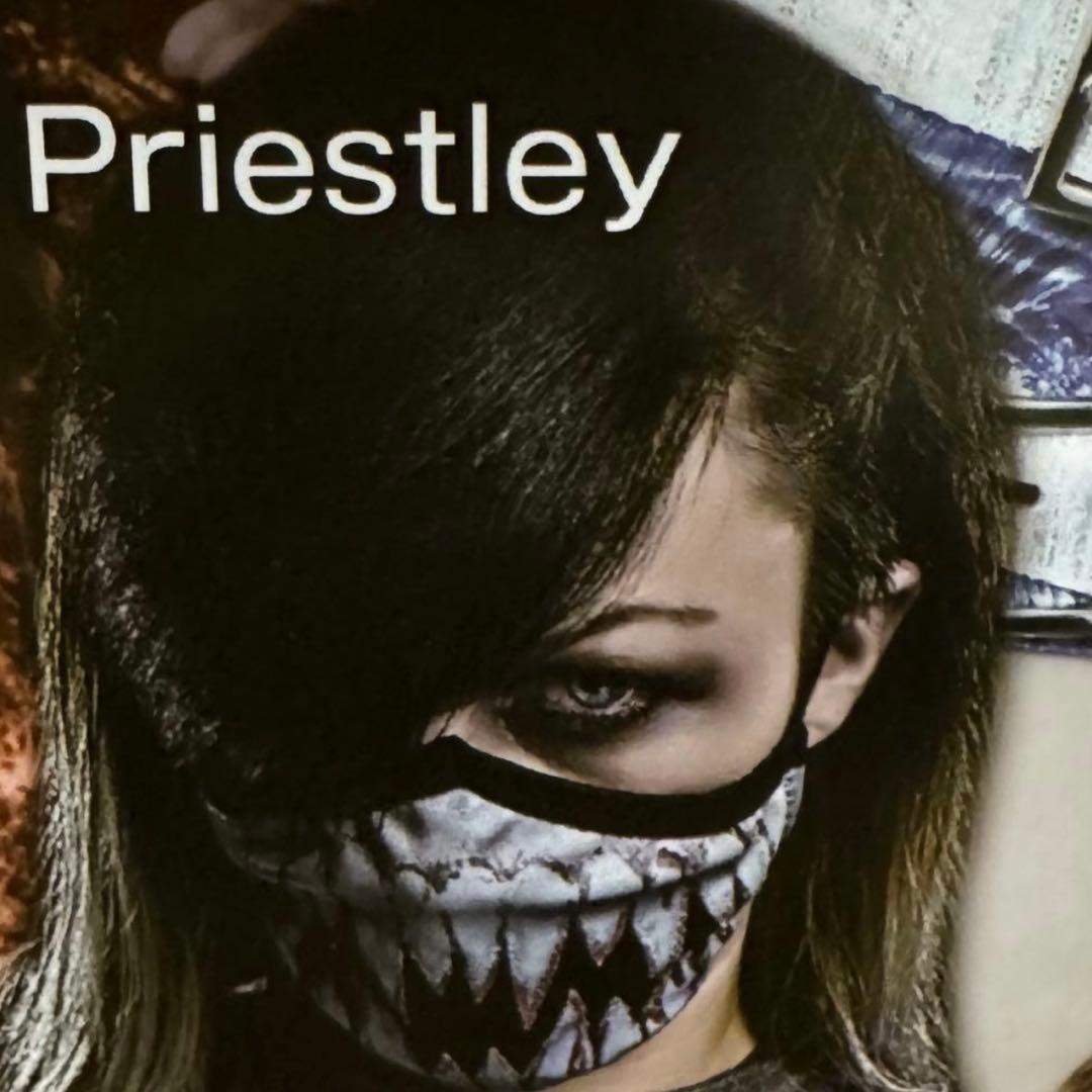 鬼レア❗️スターダム 2017年 台湾大会ポスター 女子プロレス STARDOM