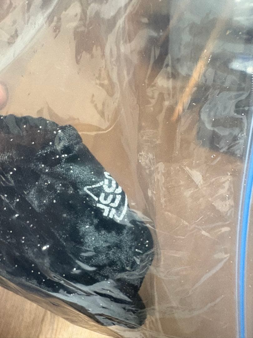 新品未使用JBBF ボディビルパンツ 新規格5cmフィットビート 黒ベロアラメ