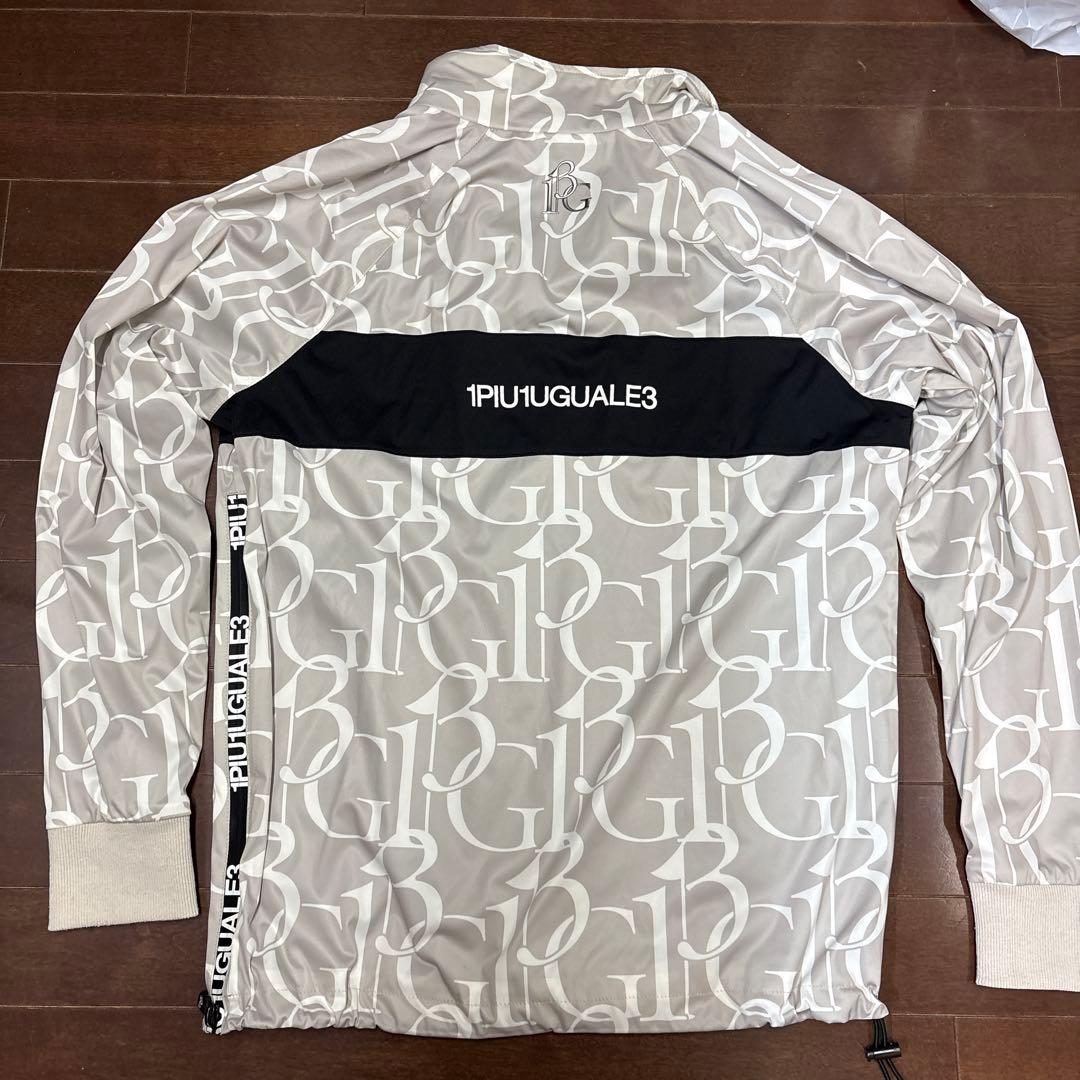 オオニシライオン