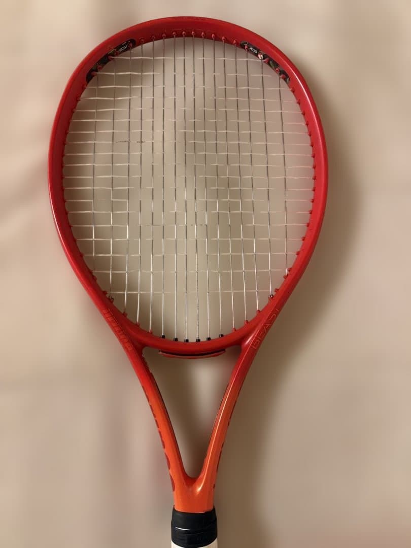 プリンス　BEAST100 300g