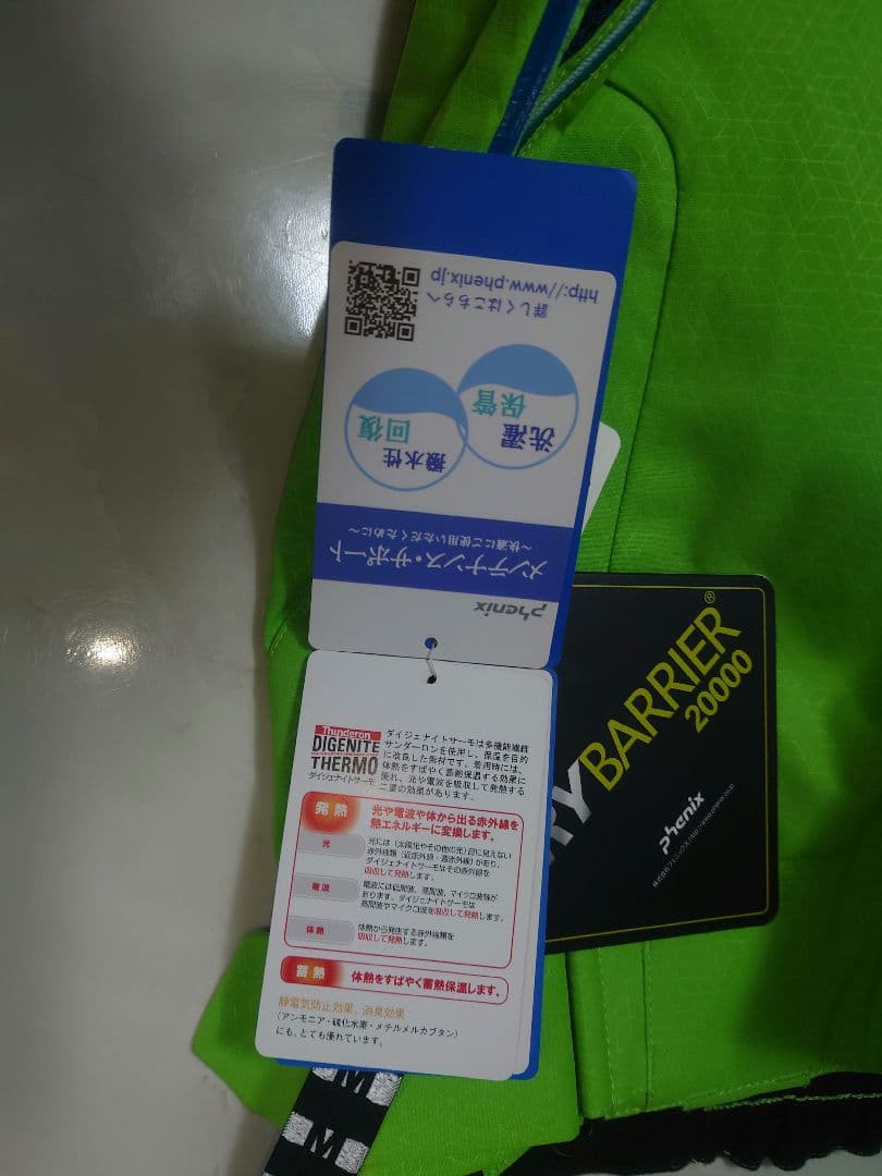 フェニックス phenix Demo Team Pants スキーパンツ