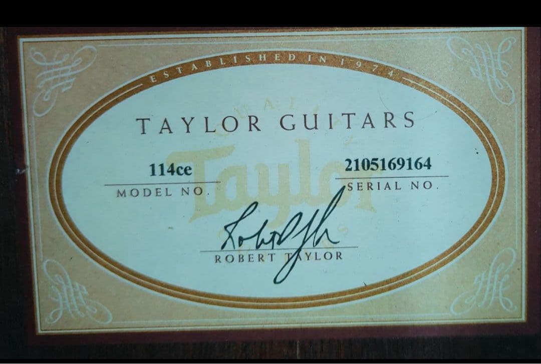 Taylor 114ce アコースティックギター専用ケース付き