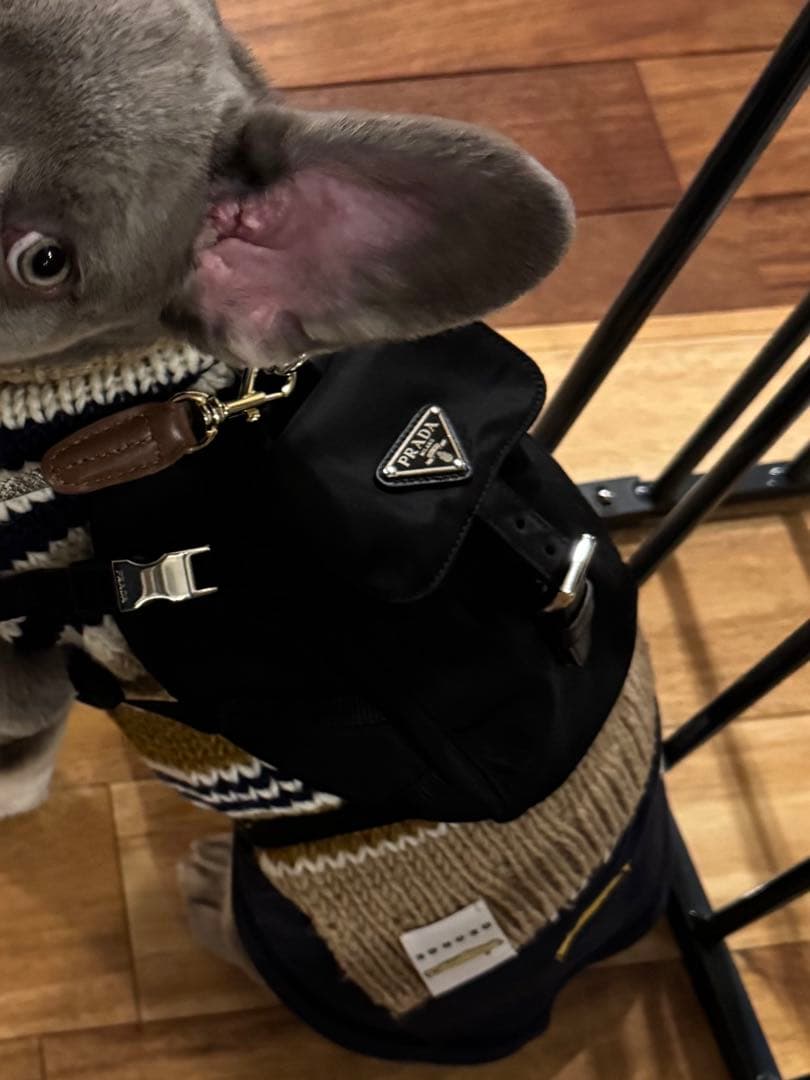 PRADA 小型犬用リュックサック 黒