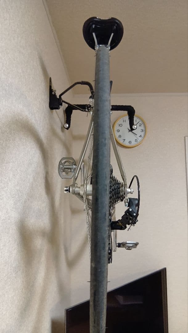 カラミータDueプラス 49サイズ