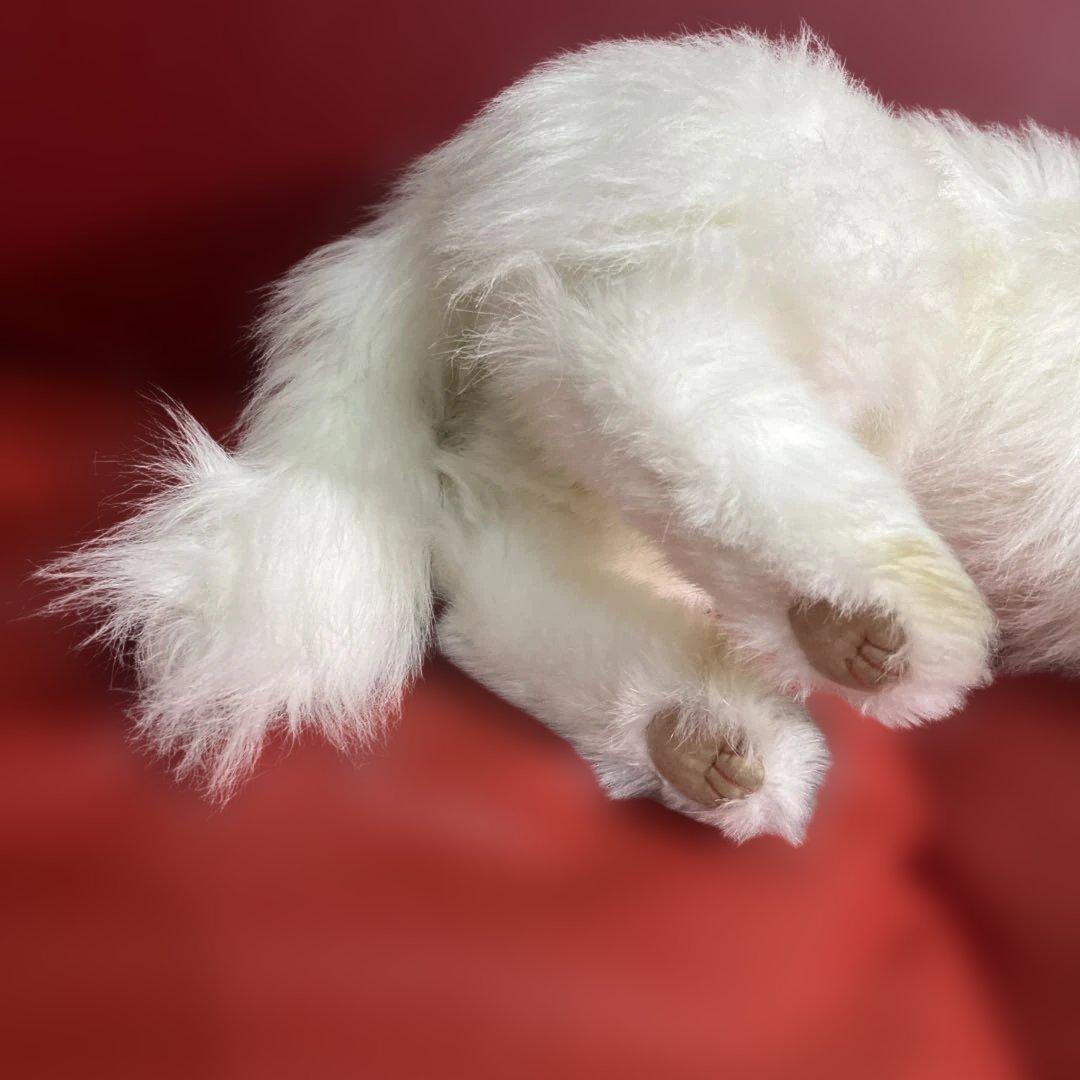 激レア！リアル！レディー・マリア　ペルシャ猫　約60センチ