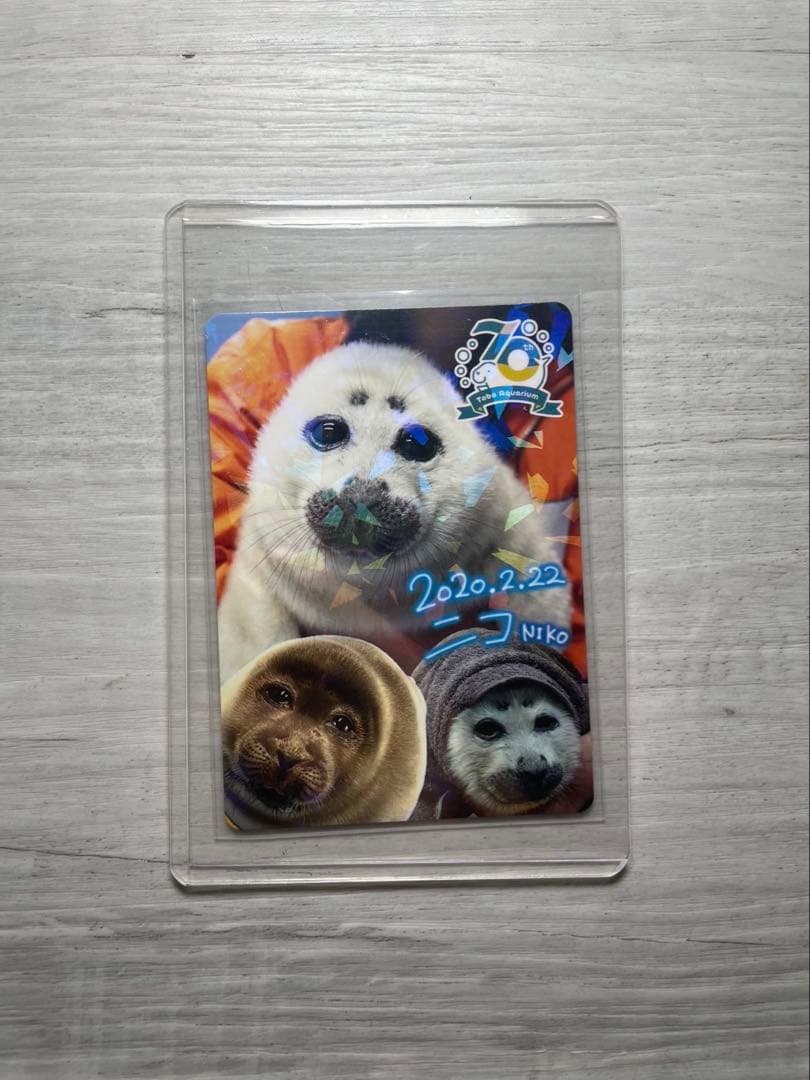 鳥羽水族館　コレクションカード　メイちゃんとポテト他4枚セット