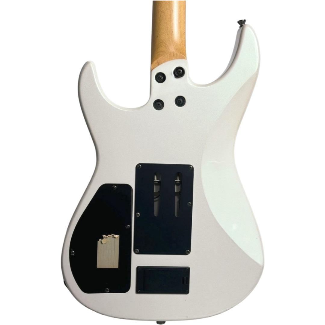 FERNANDES フェルナンデス エレキギター