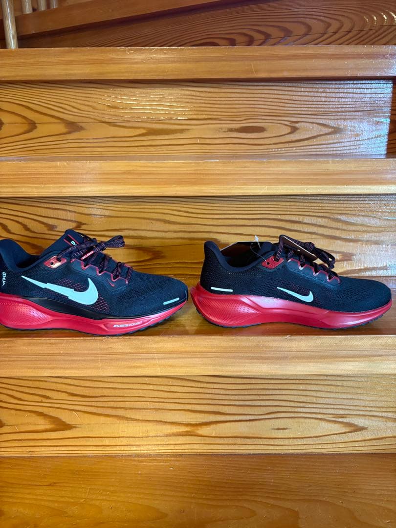 エアズームペガサス41 BTC メンズ24.5㎝