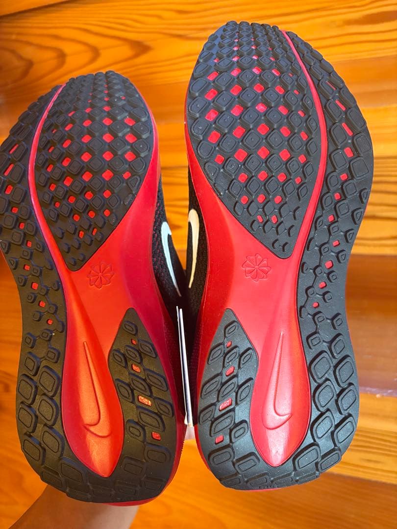 エアズームペガサス41 BTC メンズ24.5㎝