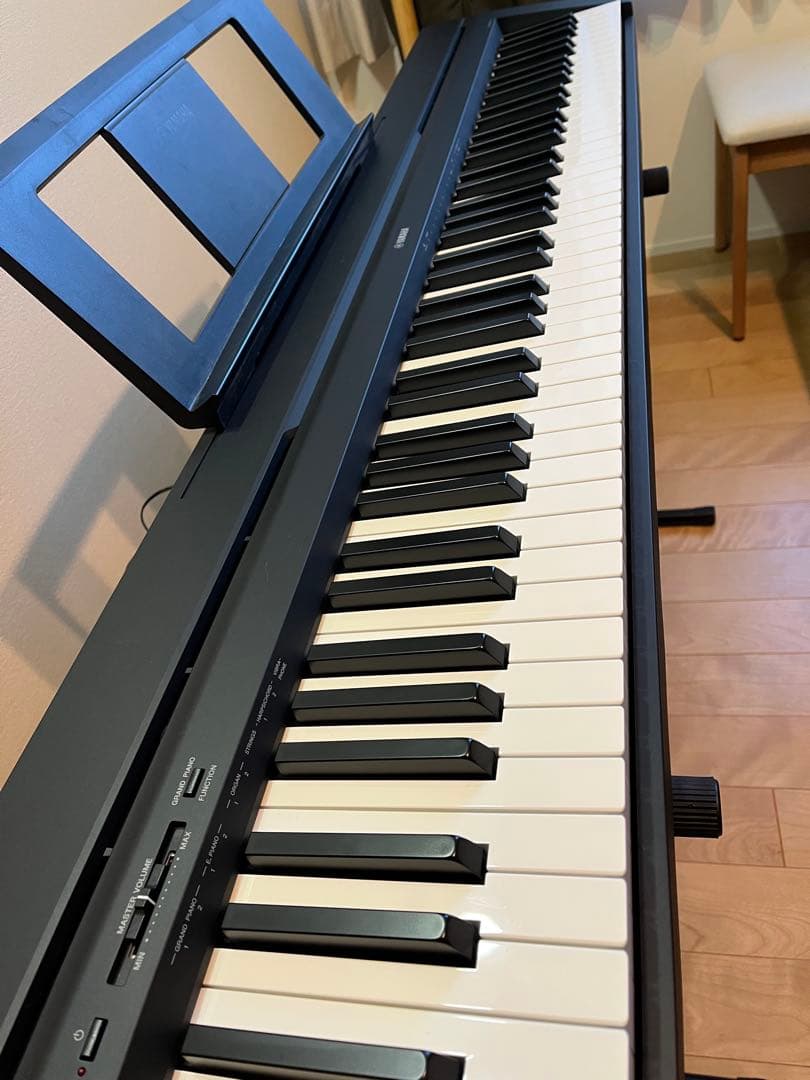 ニコ　ヤマハ　P-45B