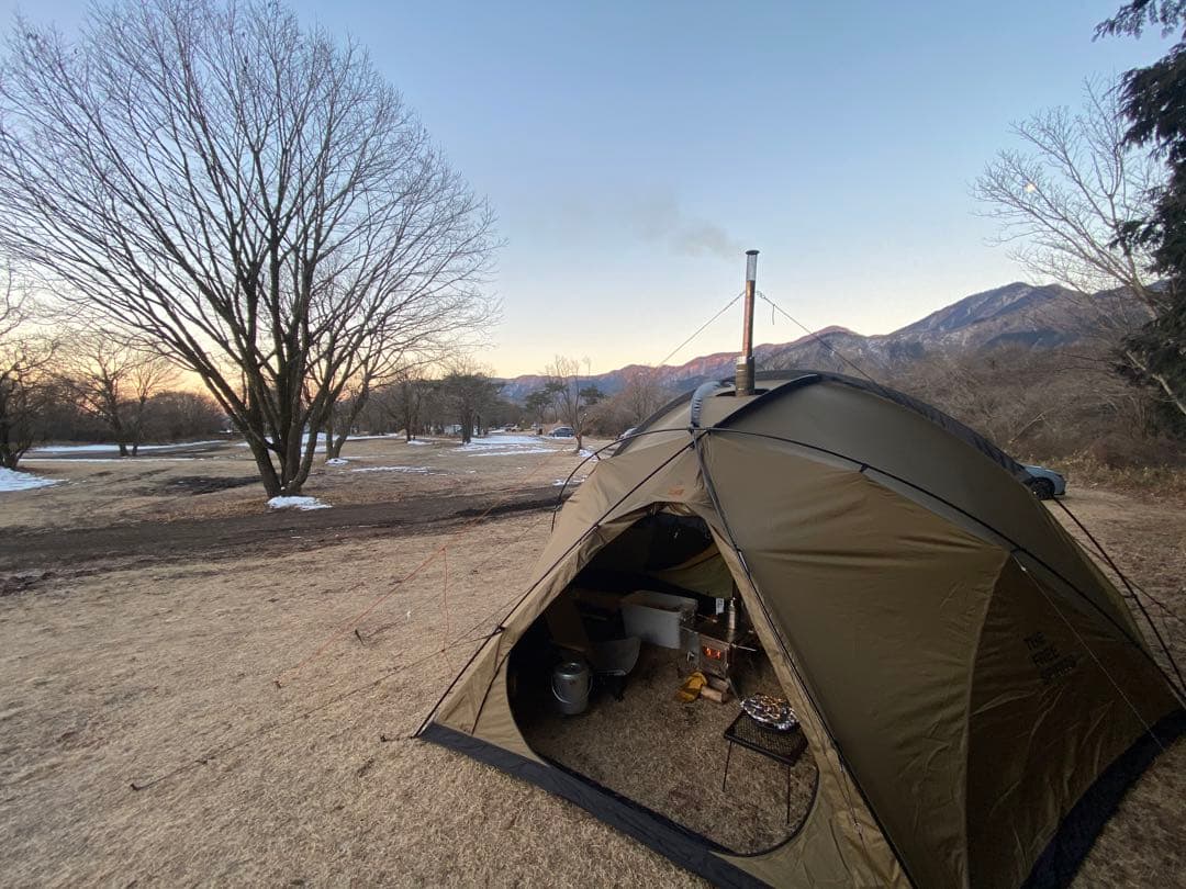 【激レア】／TFS SkyDome シルバーコーティング　ブラウン