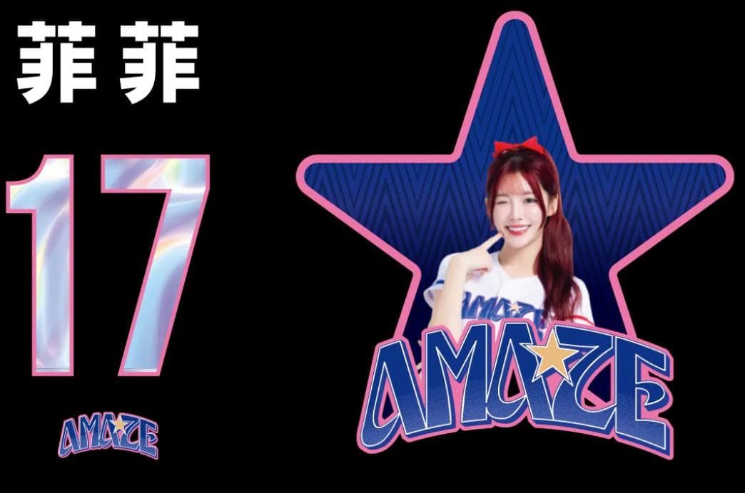 2026　WBC　17　菲菲　フェイフェ　応援　Tシャツ　ブラック