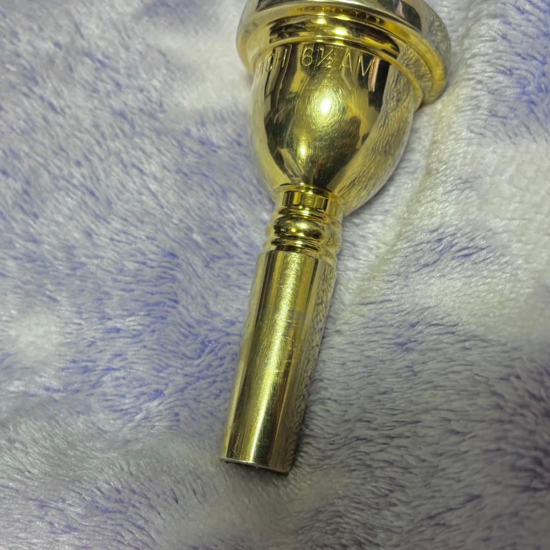 VINCENT BACH CORP 6 1/2AMGP 太管