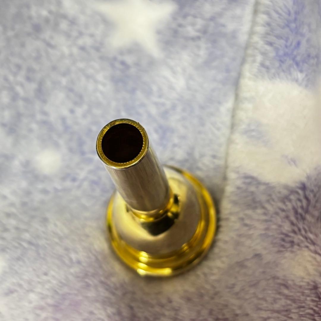 VINCENT BACH CORP 6 1/2AMGP 太管