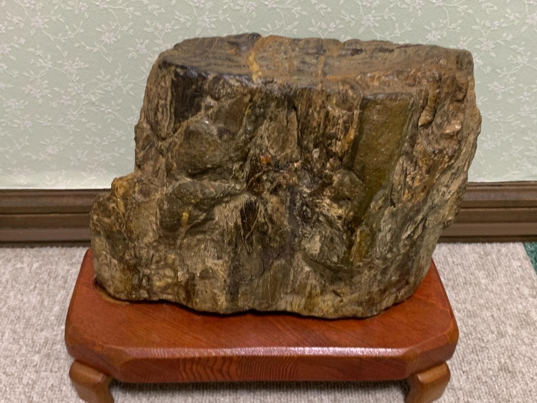 珪化木石　珪化木　H約18cm W約28cm D約9cm 約6,1kg　台付