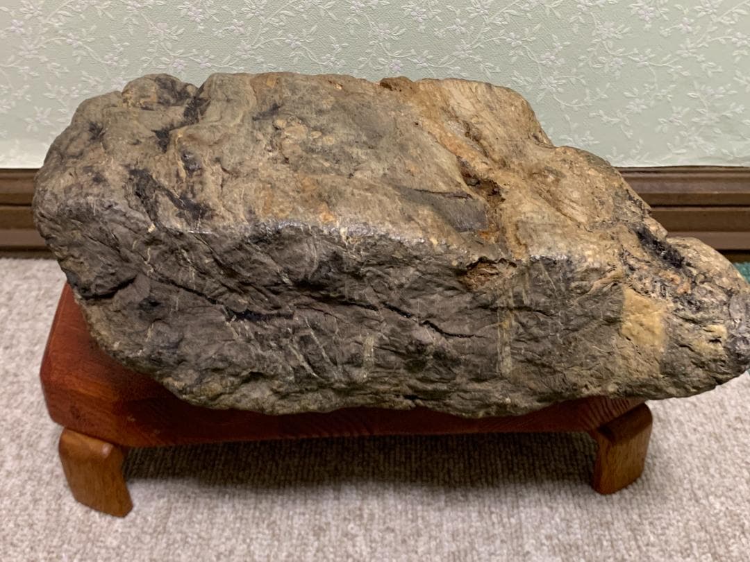 珪化木石　珪化木　H約18cm W約28cm D約9cm 約6,1kg　台付