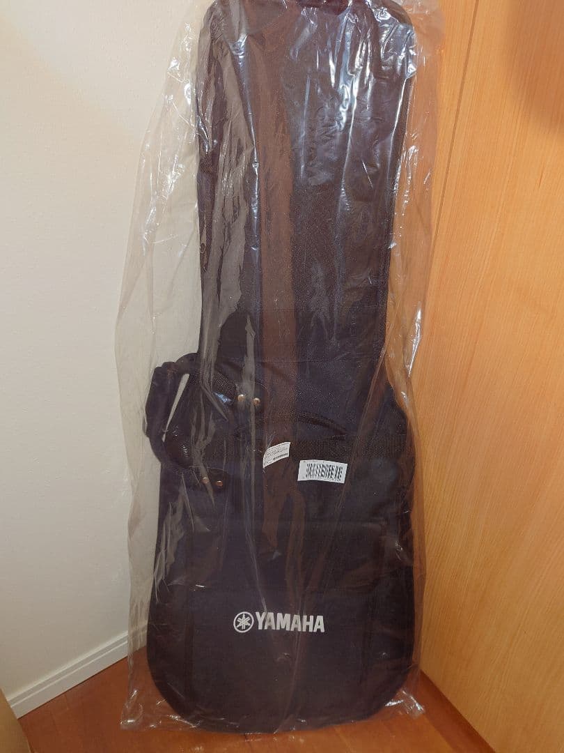 PACIFICA611VFM TBL ぼっちざろっくカスタム