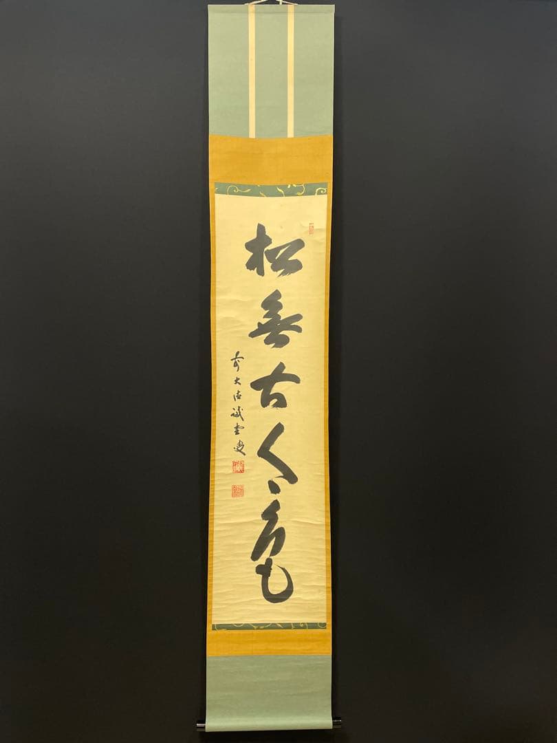 4103 藤井誡堂 「松無古今色」 共箱 肉筆 紙本 掛軸 臨済宗 大徳寺 禅語