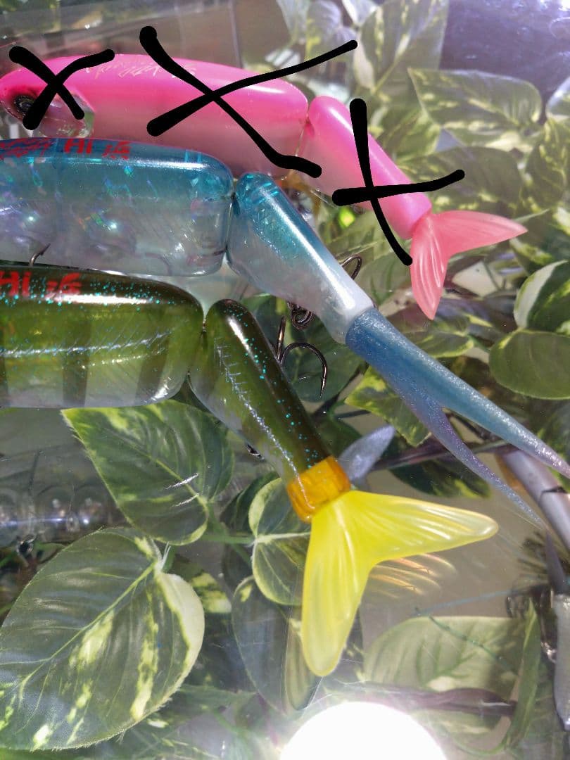 ＤＲＴ 【 タイニークラッシュ 】限定 HAMA　drt TINY KLASH