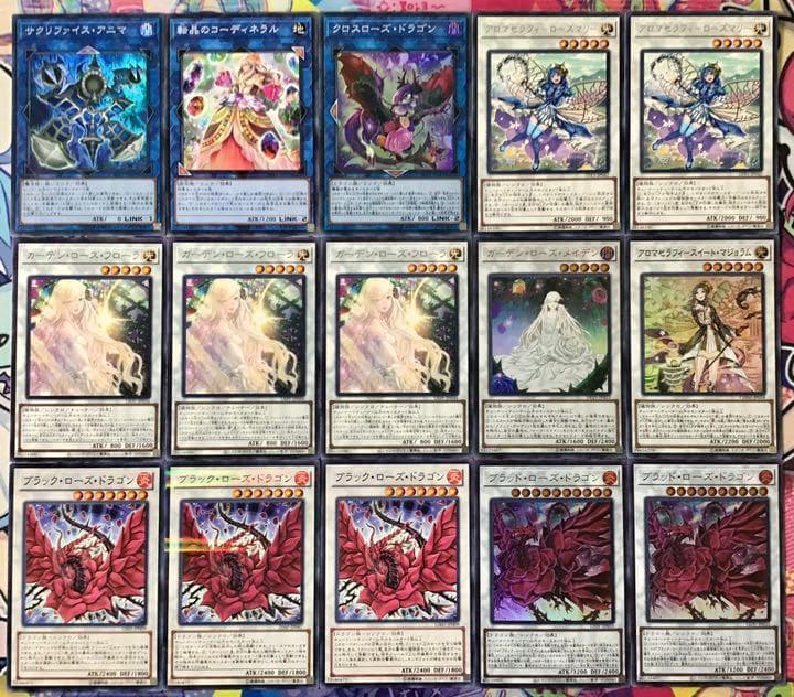 本格構築 【アロマローズドラゴン】デッキ メイン＆EX15枚＆スリーブ