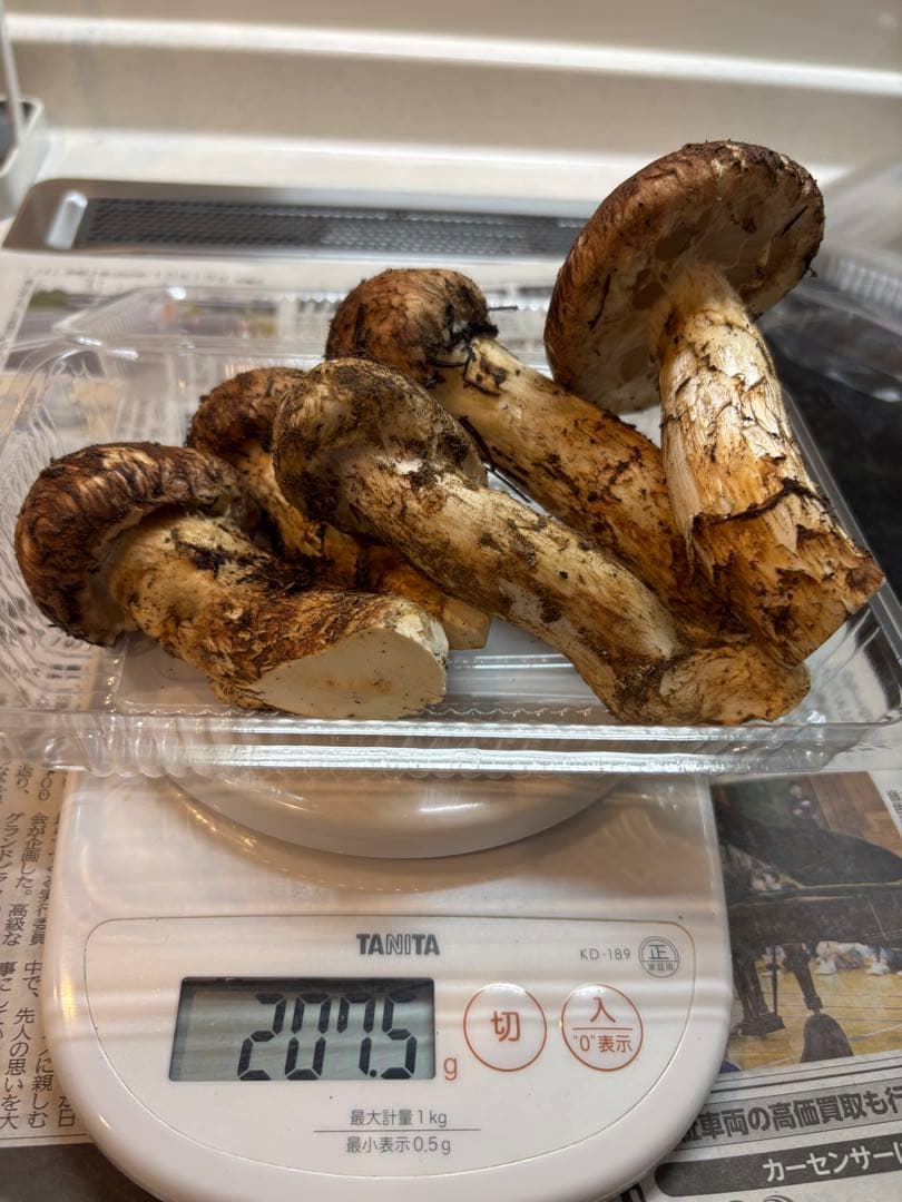 松茸　上高地産　10/15採れ　207g