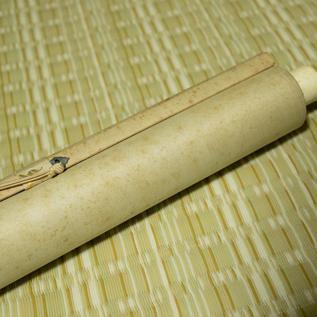 掛軸-1769　国井道成　山桜　共箱