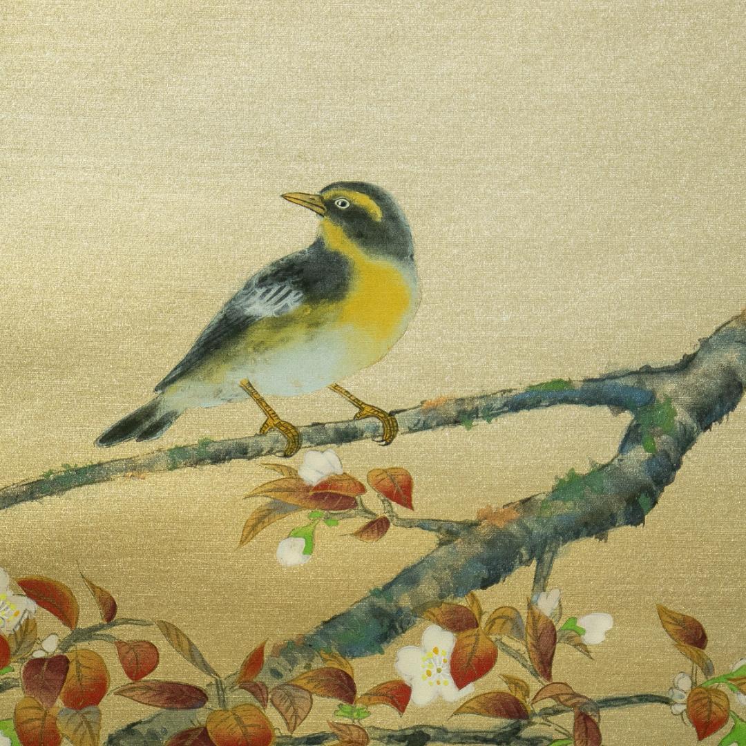 掛軸-1769　国井道成　山桜　共箱