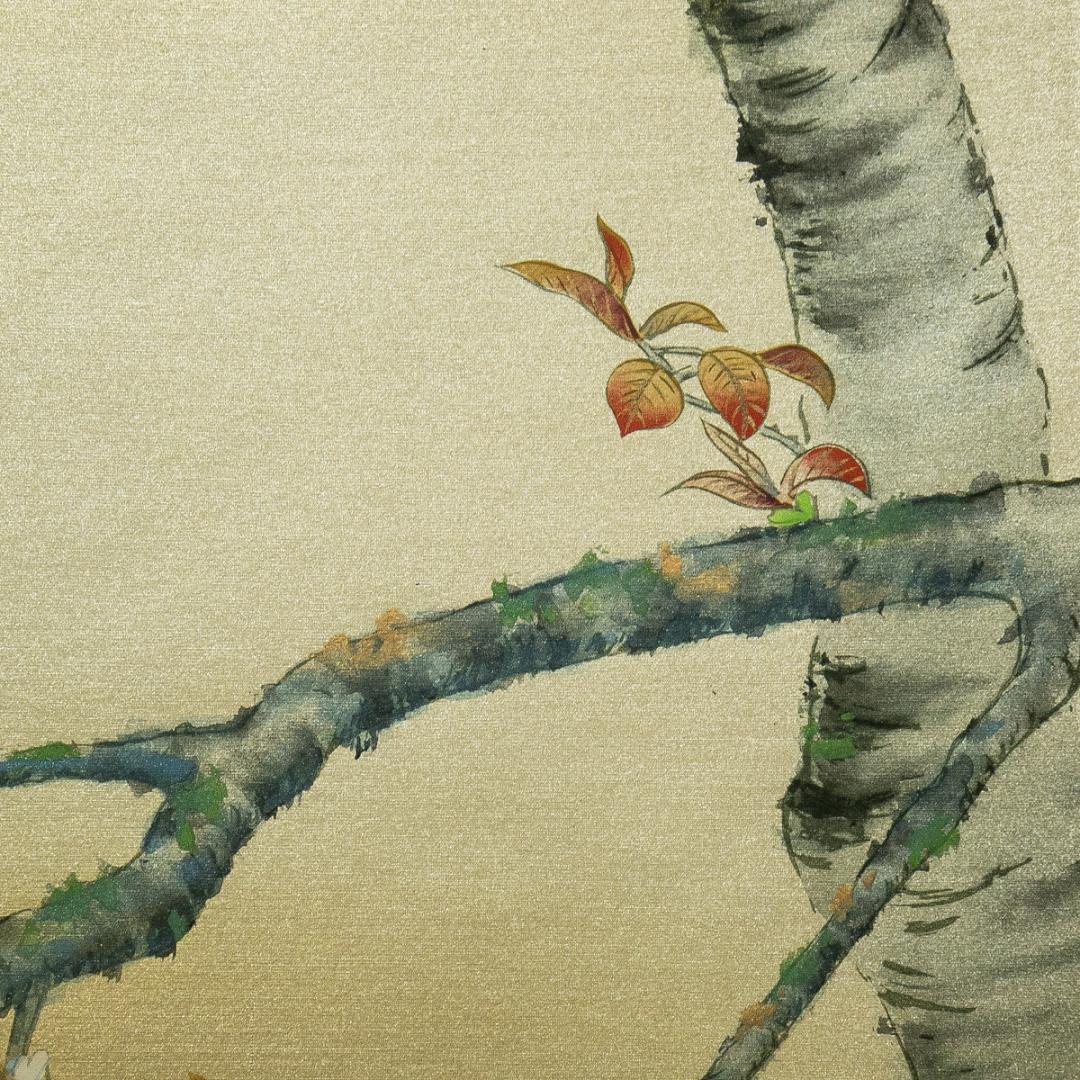 掛軸-1769　国井道成　山桜　共箱