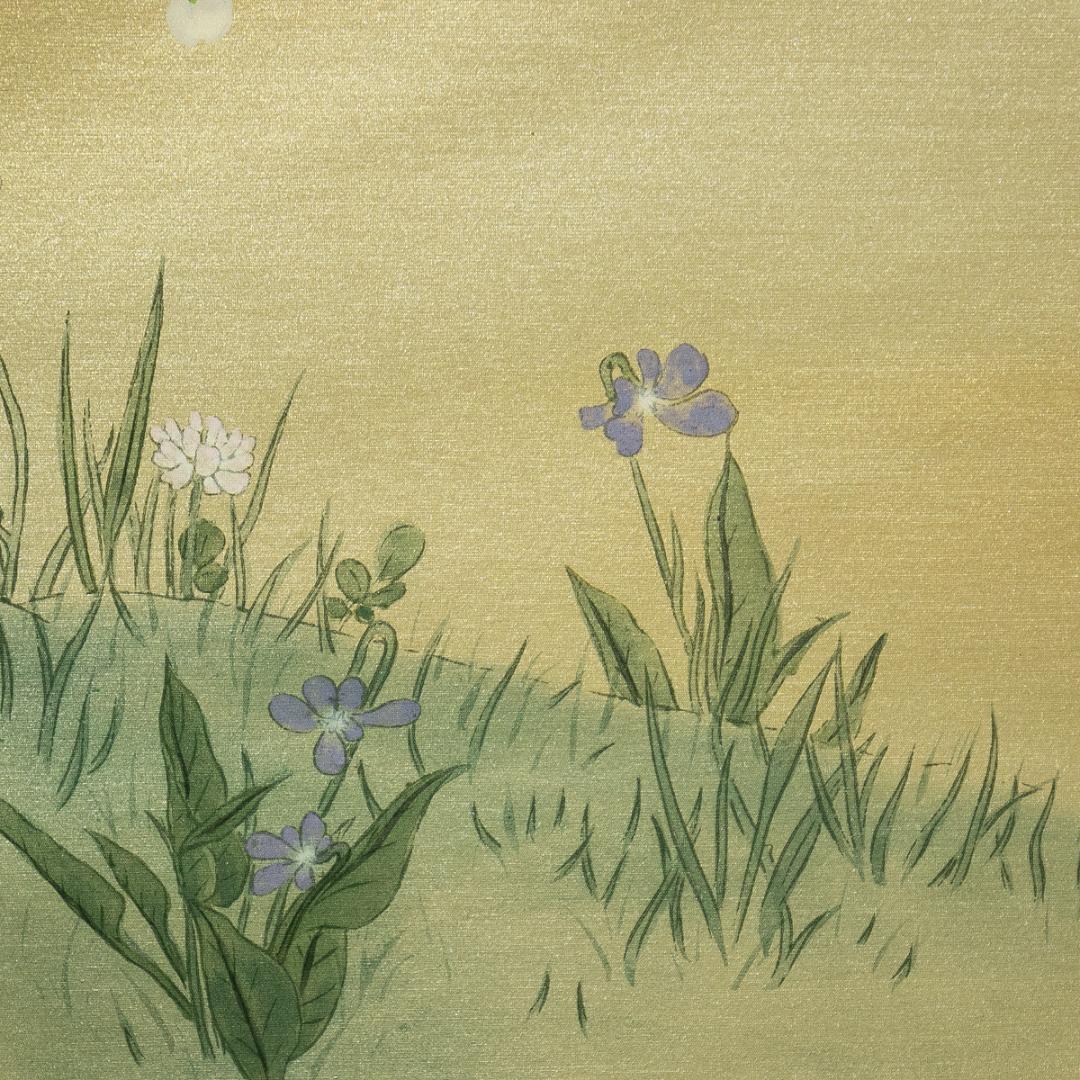 掛軸-1769　国井道成　山桜　共箱