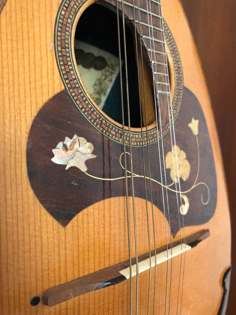 Kunishima マンドリン本体 ハードケース付き 付属品多数付き