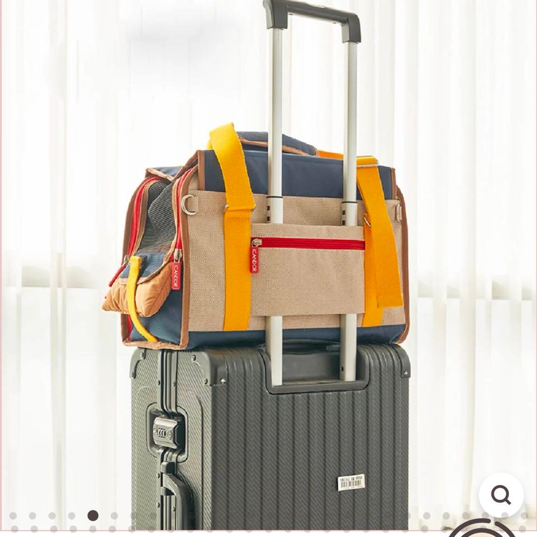 iCANDOR i BAG (SASSY CREAM) Ｌサイズ　ペットキャリー