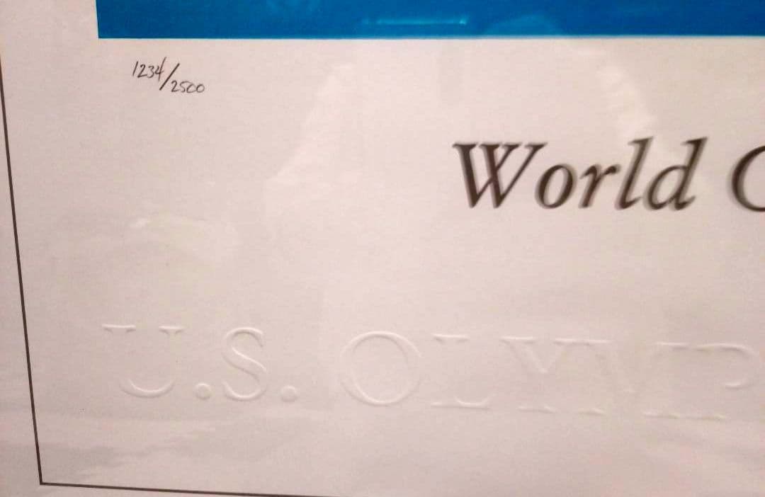 ワーナー・ブラザーズWorld Champions 1234／2500　71cm