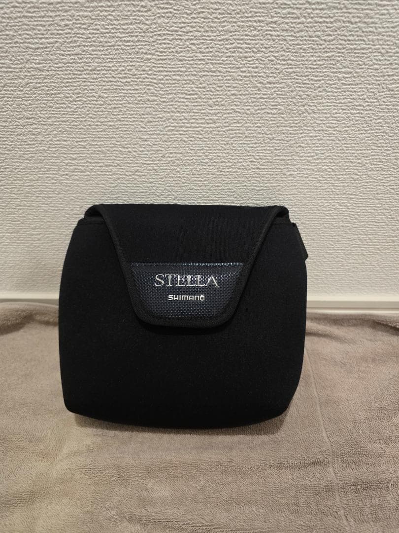 20ステラ　SW6000HG　SHIMANO　STELLA　スピニングリール