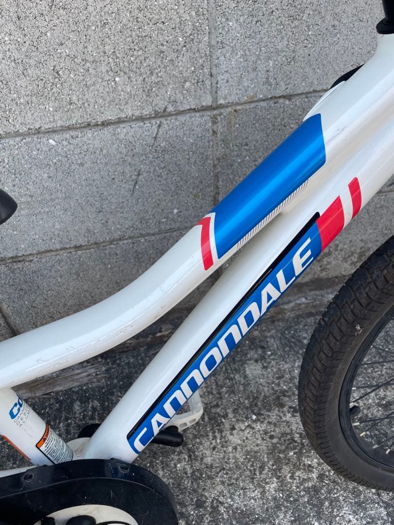 （直接取引のみ）Cannondale マウンテンバイク 20インチ