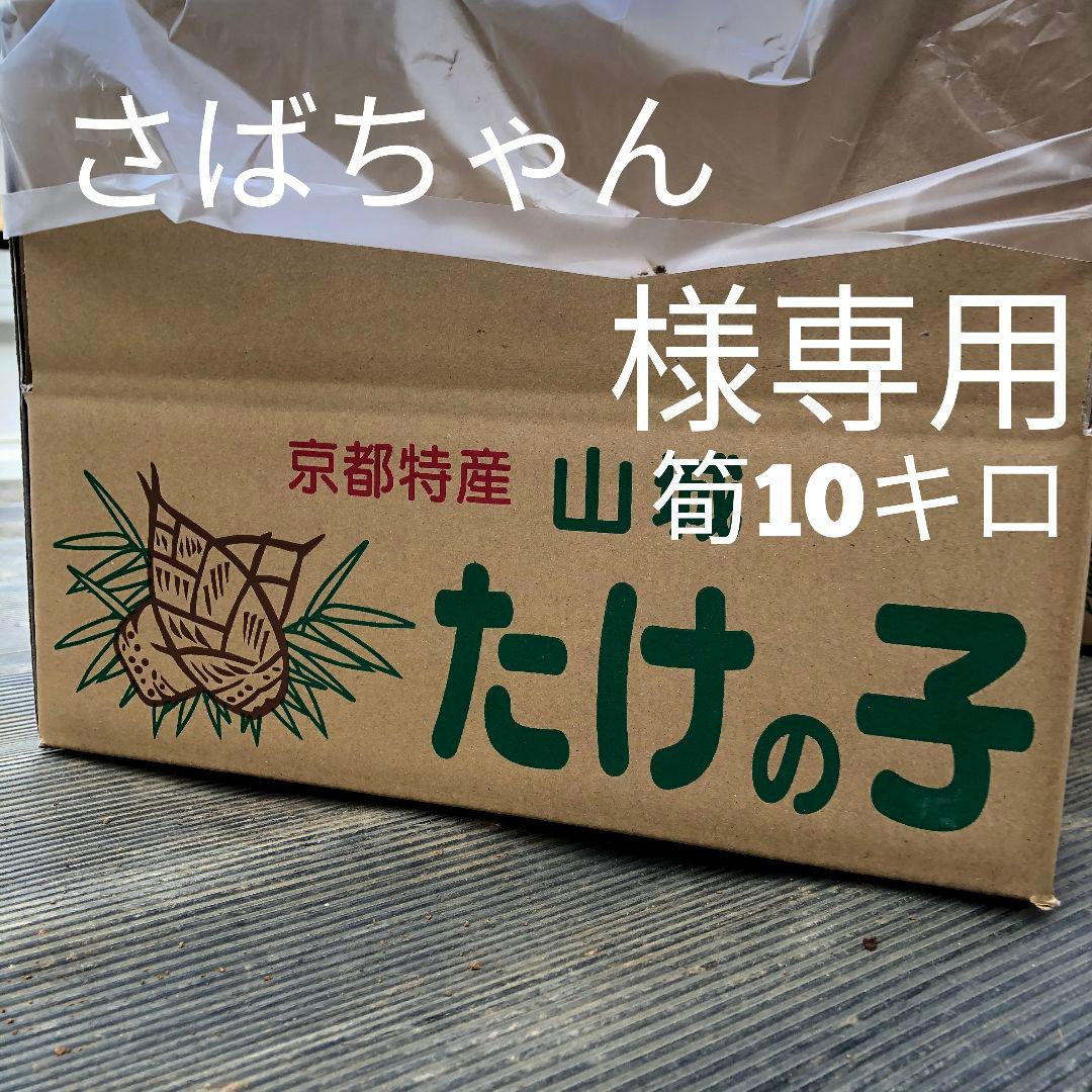 さばちゃん 筍 10キロ