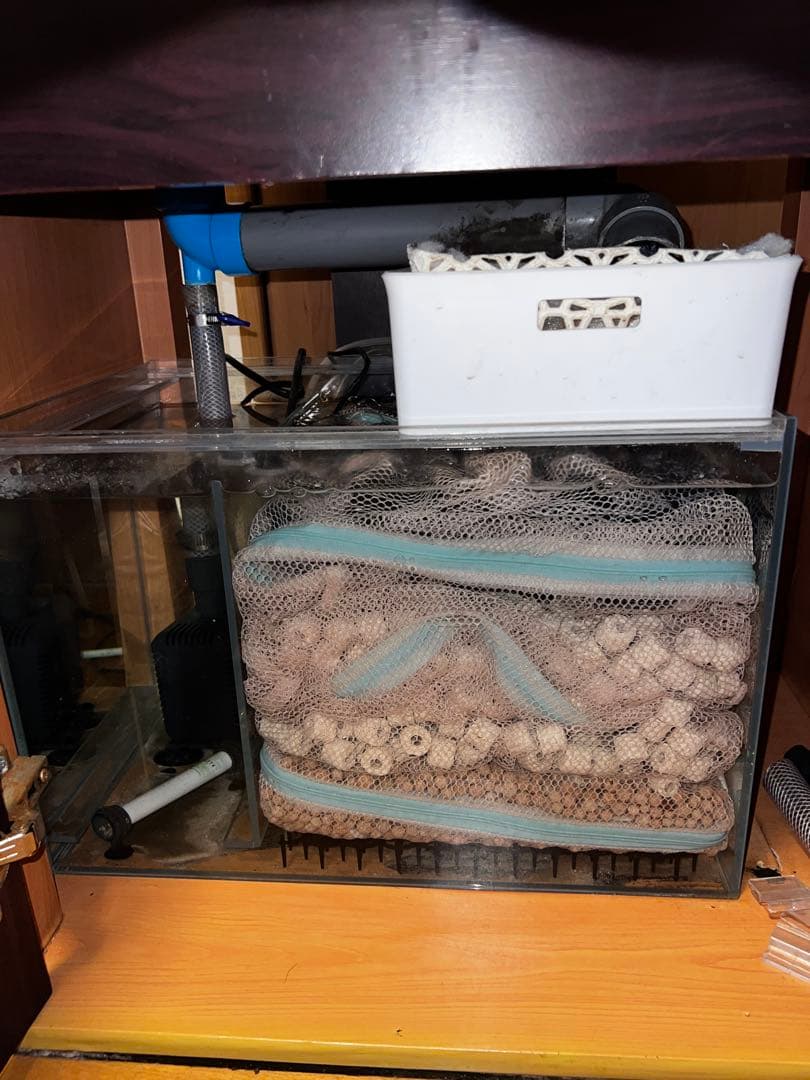 600×450×450 オーバーフロー水槽 フルセット