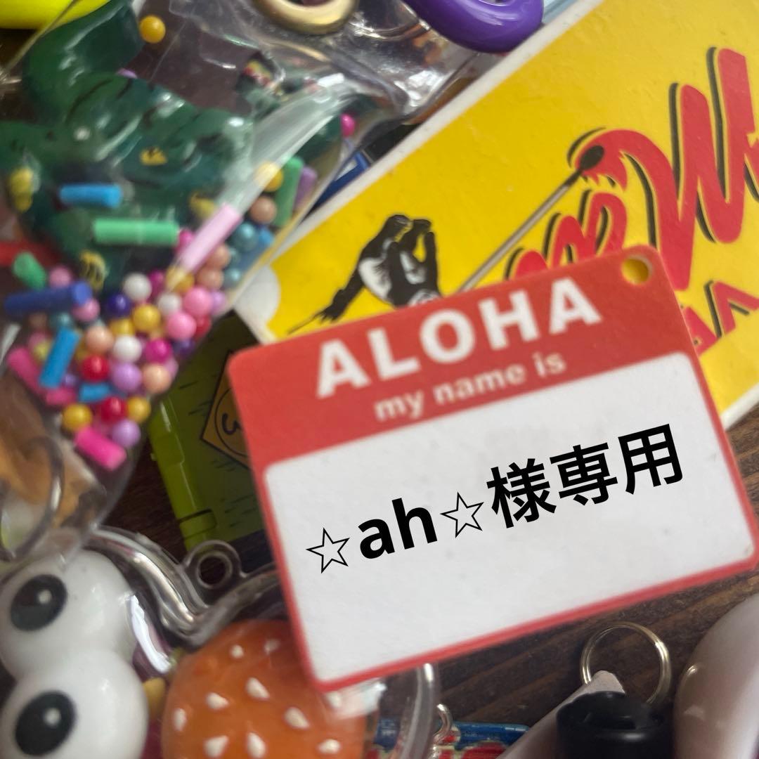 専用♡じゃらじゃらキーホルダー