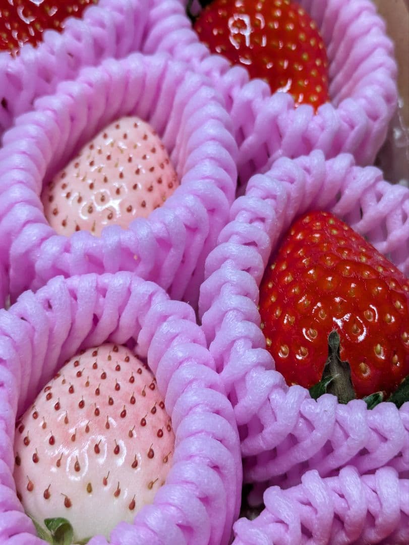 める♡紅白苺１箱♡赤苺３箱♡
