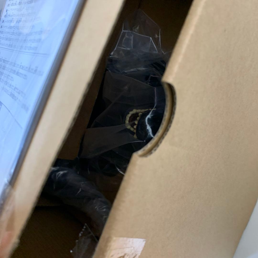 【新品未使用】DXアタックサウンド　ゴジラ2005