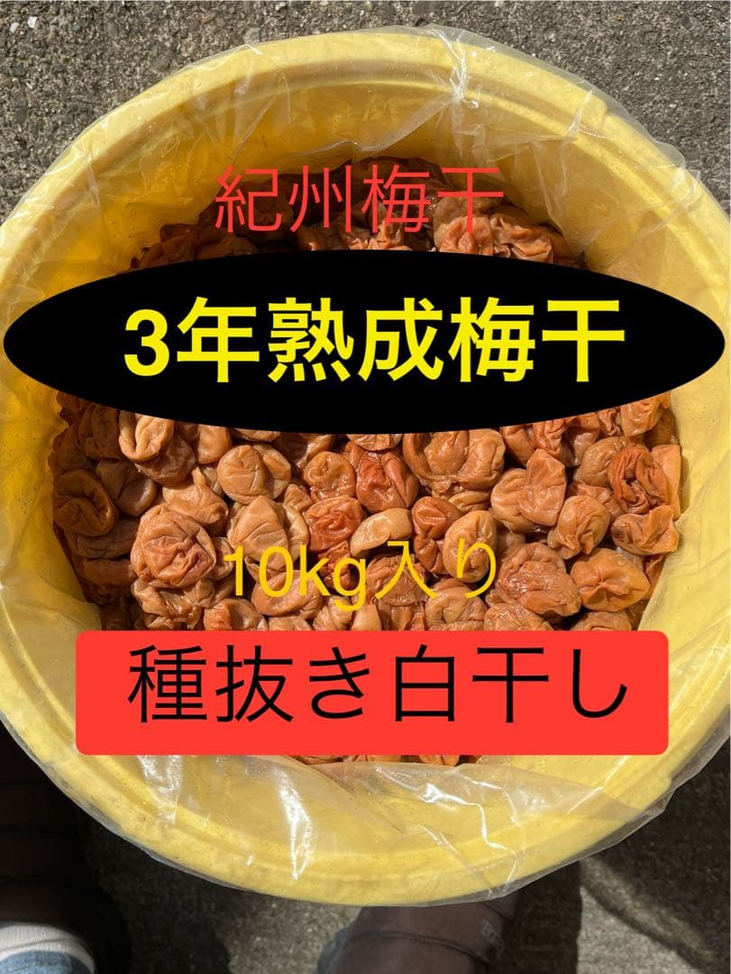 3年蔵出し熟成梅干　種抜き白干し　無添加　無選別　10kg入り