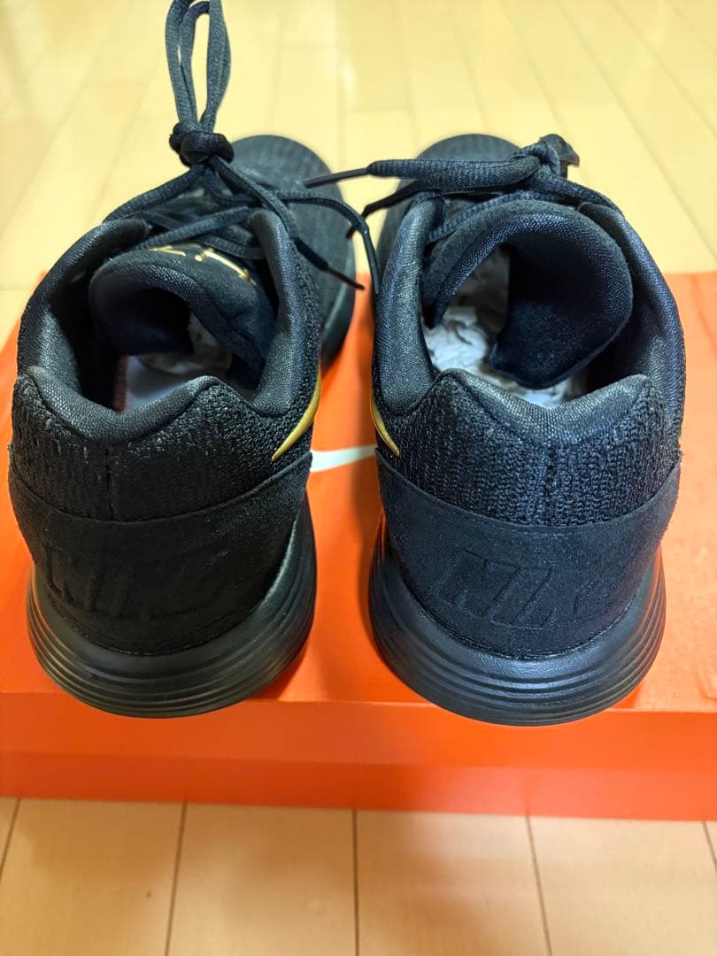 HYPER DUNK 2017 Low /ハイパーダンク 2017