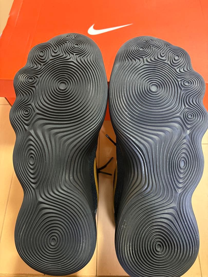 HYPER DUNK 2017 Low /ハイパーダンク 2017