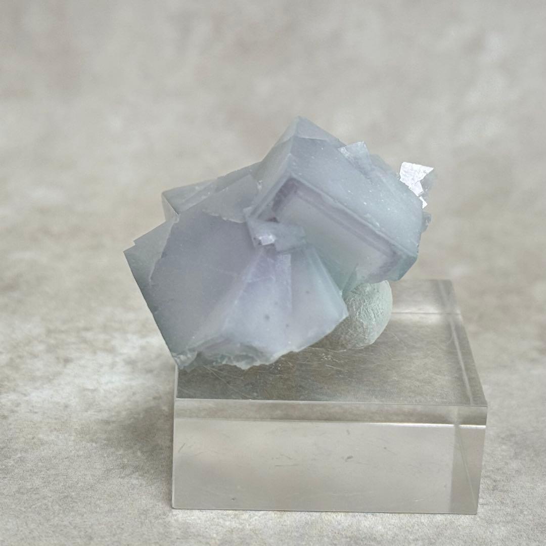 【D154】ポーセリンフローライト ヤオガンシャン 原石 鉱物 標本