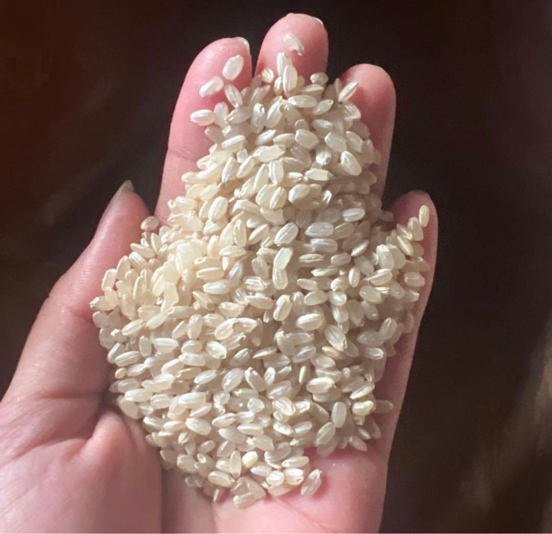 新米　お米　彩のきずな　30キロ　送料込み