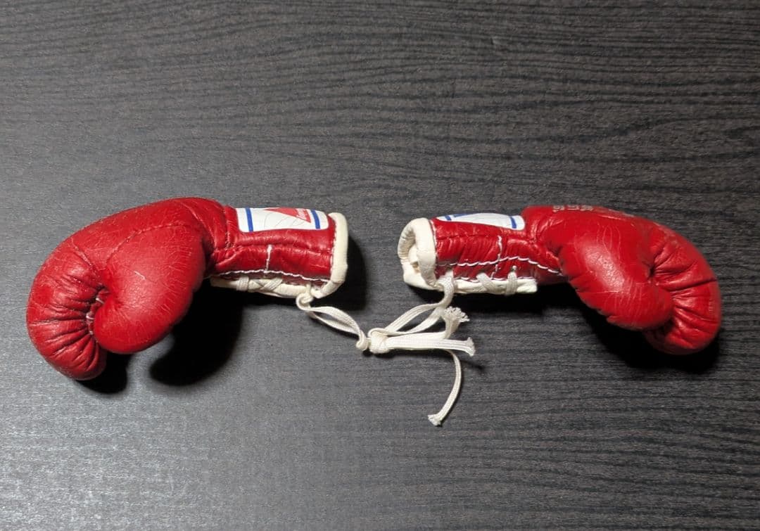 ボクシング マスコットグローブ レパード玉熊×アルバレス