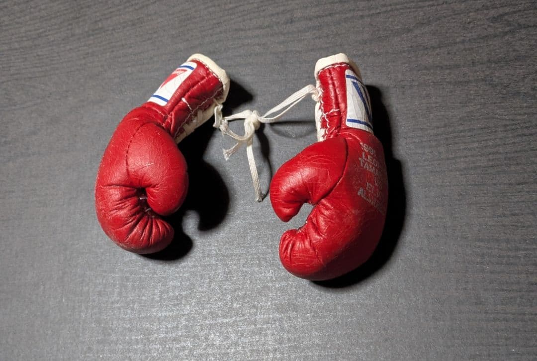 ボクシング マスコットグローブ レパード玉熊×アルバレス