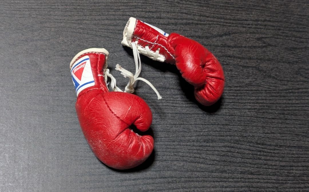 ボクシング マスコットグローブ レパード玉熊×アルバレス